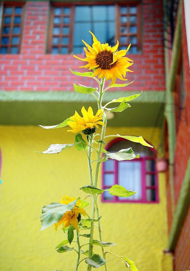 Hostal Inti Raymi Backpackers Baños Dış mekan fotoğraf